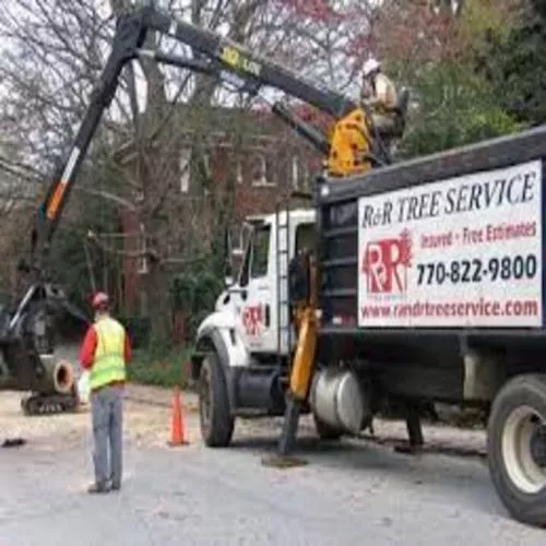 R&R tree service was doing work on my neighbors property and found it in there best interest to use my yard to access the