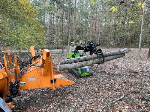 Jude and his team removed a large tree next my pond in Johns Creek