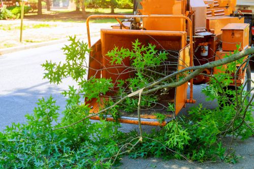  alt='We had a large pinetree taken down that was right against my house, I