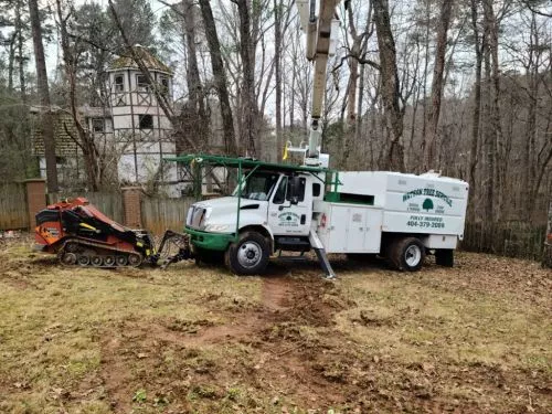 We highly recommend watching tree service. There was no discrepancy in the service the price the professionalism was five