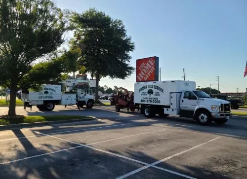 Johnny on the spot! I got a quote and the next day my trees I wanted removed and trimmed up was taken care of