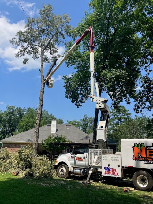  alt='Neel And Sons Tree Service has cut down trees for my mother-in-law and my mother in Thomasville Georgia'