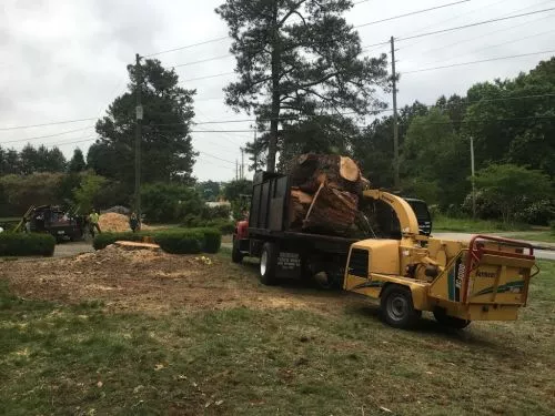 I recommend CamCor without any hesitation or reservation. A 100 foot Poplar with 3 cavities was leaning toward the house we