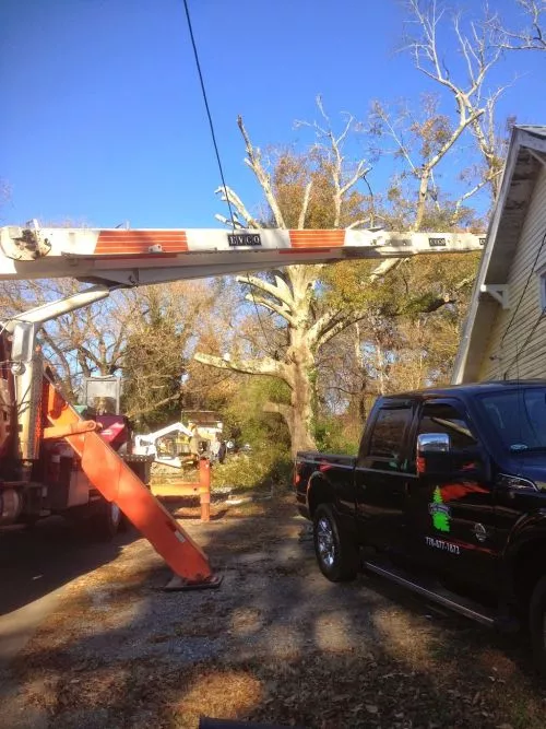 Zach and crew did an excellent job taking down 2 very large dead pine trees on my property