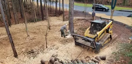 Will was fantastic to work with on my land clearing job! Great communication, competitively priced, and he did an amazing