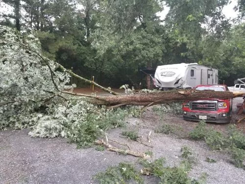 We found this family owned business that provided a timely reasonable quote to trim trees away from home power lines