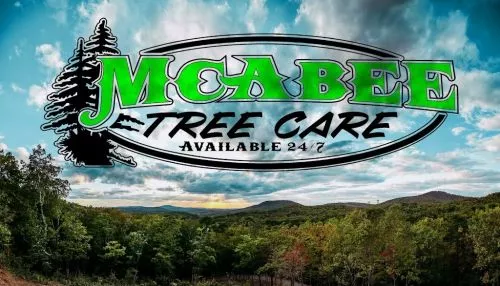 McAbee Tree Care is the best in town. We had a huge clean up project, and Joel and team did an amazing job from start to