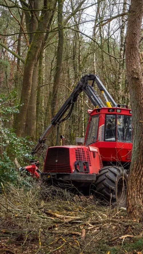 I recently used Lawrenceville Tree Services to take care of some tree removal on my property