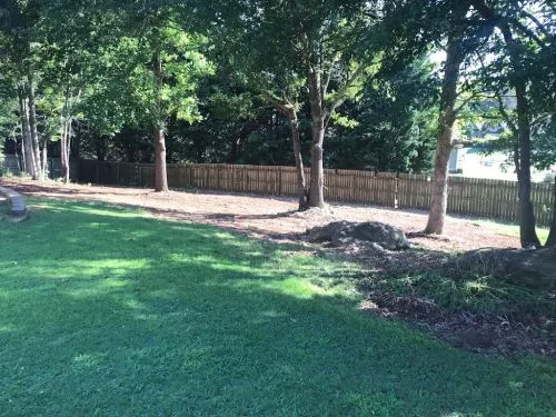 Terry did grading and mulching at my house. He completely transformed our place! He is very trustworthy, fair, and reliable