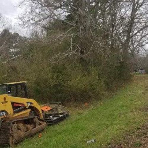  alt='I needed two dead trees removed that could have hit the house if they fell'