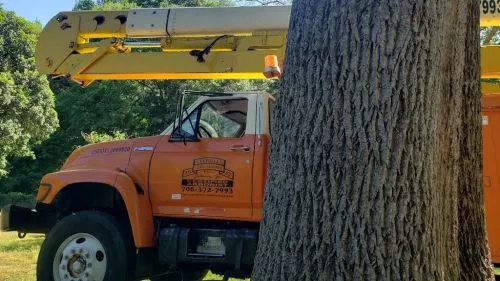 Removed several dangerous trees on my property right next buildings. Very professional, hard working and got er done