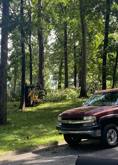 Jake and his crew are definitely the guys you need to call to take care of your tree removal needs