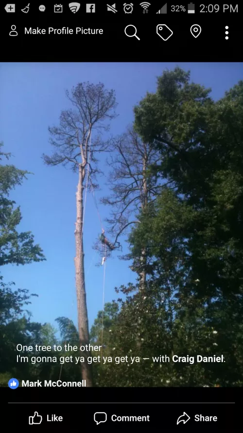 We had a large tree split and a huge branch fell near my patio. We also had tree branches hanging on the roof and a tree