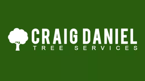 When I had to leave messages to call me back with other tree services Craig Daniel came out and gave me a quote the same