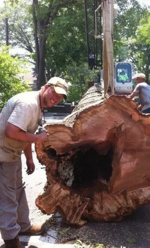 Jimmy has always done an exceptional job on EVERY project he has done for us - tree trimming/pruning as well as roof