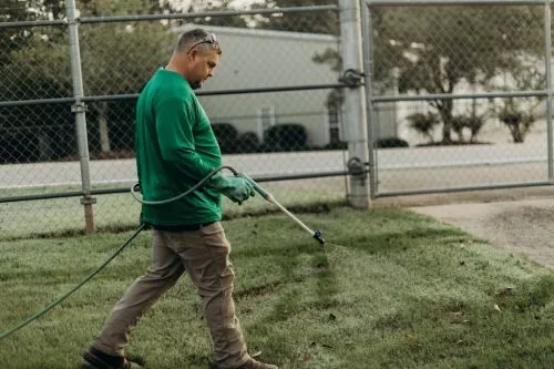 George is fantastic! He has cut my grass a few times and is always on time and professional