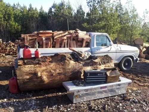  alt='Had a great experience with the Paul Bunyan tree service… they were polite, very hard working and did an excellent job'