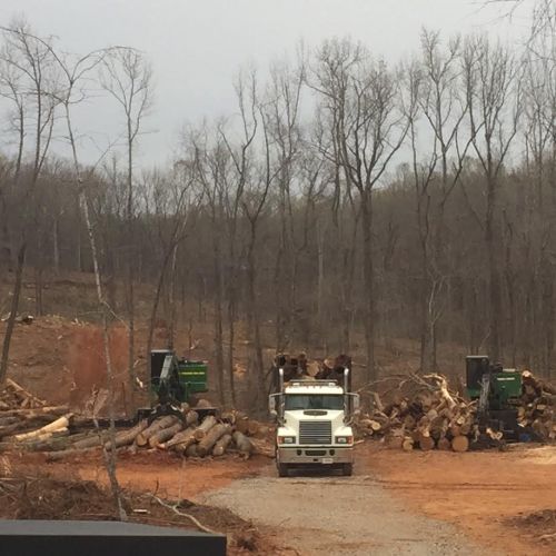  alt='ONE OF MY NEIGHBORS,USED SETH AND HIS CREW TO REMOVE A HUGE TREE LEANING OVER HIS HOUSE'