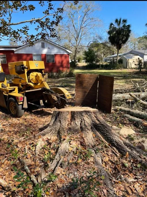 Grinded the stump, can’t even tell there use to be a tree there. Henry did a great job