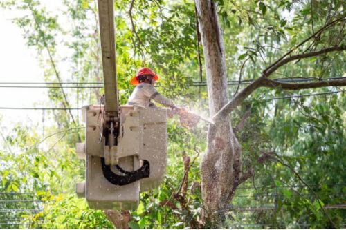  alt='These guys are just awesome. Did a great job very professional and respectful'