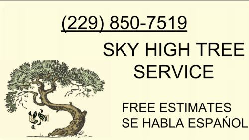  alt='I recently hired Sky High Tree Service to take down a large tree in my yard, and I couldn