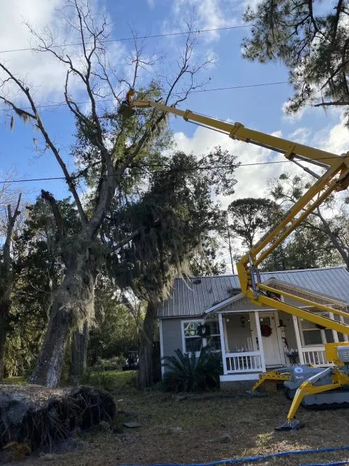 Garrett and crew did a great job! Removed around 20 trees from a tight space around our cabin