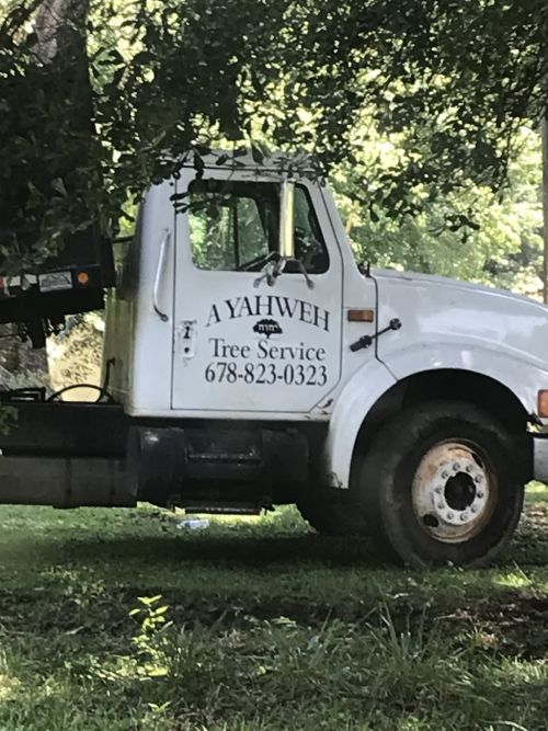  alt='These are some of the nicest people. From the office to the guys that cut down our tree!'