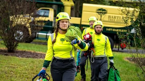 Bartlett Tree Experts completed a massive amount of tree trimming on 15 species of trees around our home, a two-day project