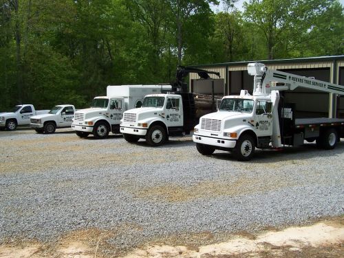  alt='Reeves Tree Service did an excellent job for us! I have to be honest I was a little afraid to have 2 huge trees trimmed as'