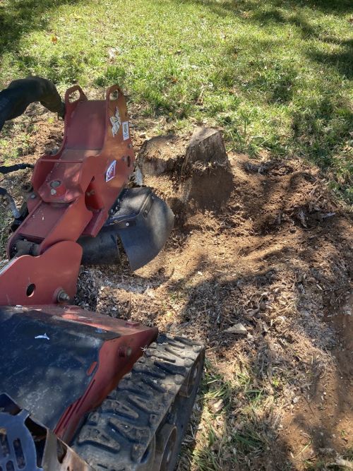  alt='I highly recommend Ryan for anyone who needs stump grinding. He responded very quickly to my initial message, came to'