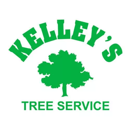 We were fortunate to use Kelley Tree Service following impacts from hurricane Helene