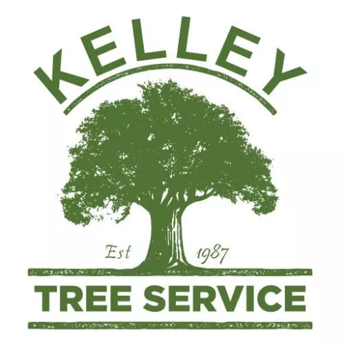 We just had Kelley Tree Service remove another group of trees and grind out bush stumps