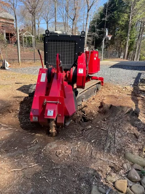 Excellent service! Matt removed 12 stumps from my yard quickly and cleanly