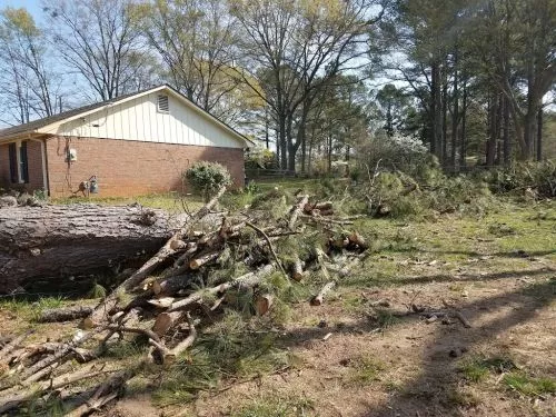 We live on Lake Jackson and recently had a huge tree fall on our dock & two boats