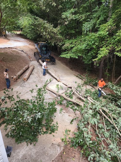  alt='Exceptional work! We had several trees removed on our property. These guys were priced reasonably'