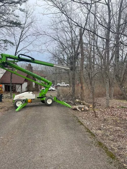 We had large oak trees overhanging our house and these guys were amazing at getting the limbs down