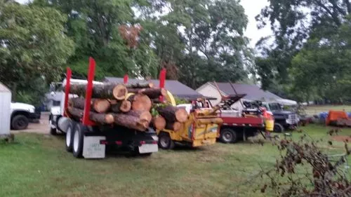 I called Scott yesterday about a huge chinaberry tree right next to my 1945 house I purchased and moved into two months ago