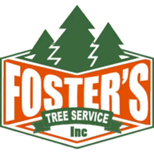 Great tree service. Very prompt. Friendly. Efficient. Good price