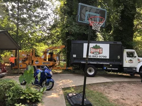 We needed some trees removed from our backyard in February so I called Foster"s Tree Service