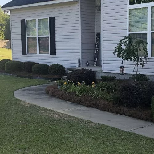 These guys are amazing. We called from another state to set up a lawn cut on our new house