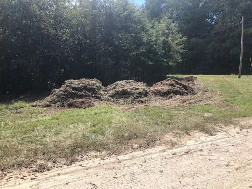 Georgia power recommended them to cut limbs near my power lines