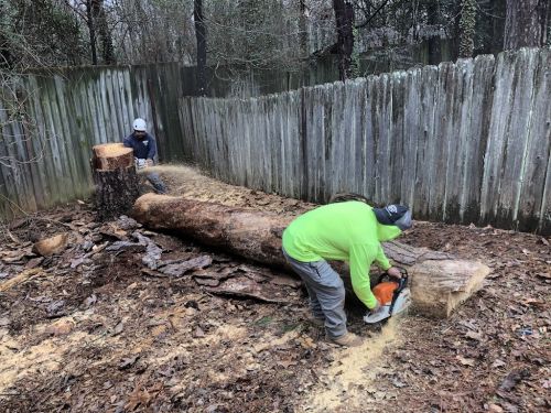  alt='This tree company is absolutely amazing. I was so scared watching them cut my oak tree, but the way the branches fell was a'