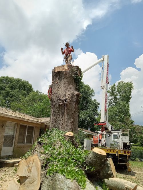  alt='The crew did an excellent job caring for our tree removal after a recent tornado'