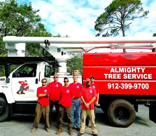  alt='Almighty Tree Service did a phenomenal job removing four large water oaks from our backyard'