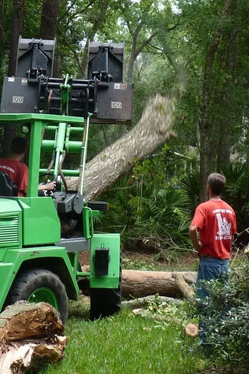 I cannot say enough good things about the crew at Almighty Tree Service. They provide quality service at an excellent price