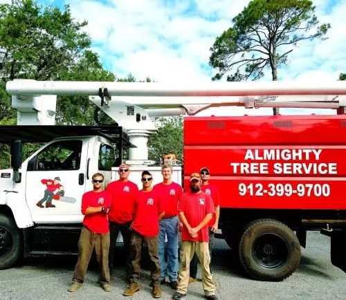 Almighty Tree Service is the company you need to hire when you’re looking to trim, prune, or remove trees on your property