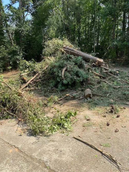 I first had contact with Andrew and JD of Jaguar Tree service shortly after hurricane Ian came through our area of North