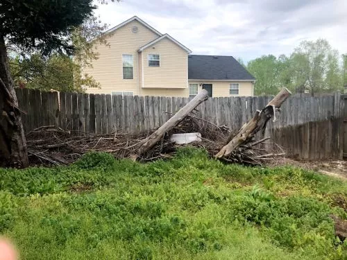 I hired this company to put down some sod. Although the crew did come out fast, the work was rushed and sloppy