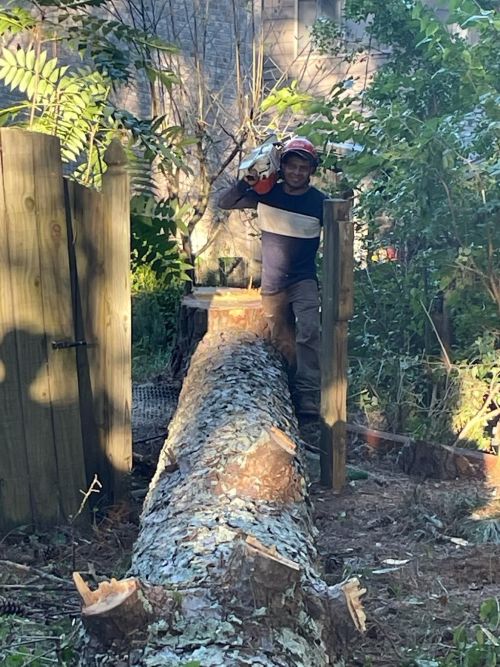  alt='They have done an excellent job trimming up six trees as well as removing large limbs overhanging my house'