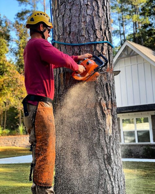  alt='We used North American Tree Service to remove a couple of trees and limb a few of our others. They did a great job'